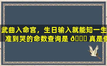 武曲入命宫，生日输入就能知一生准到哭的命数查询是 🍀 真是假